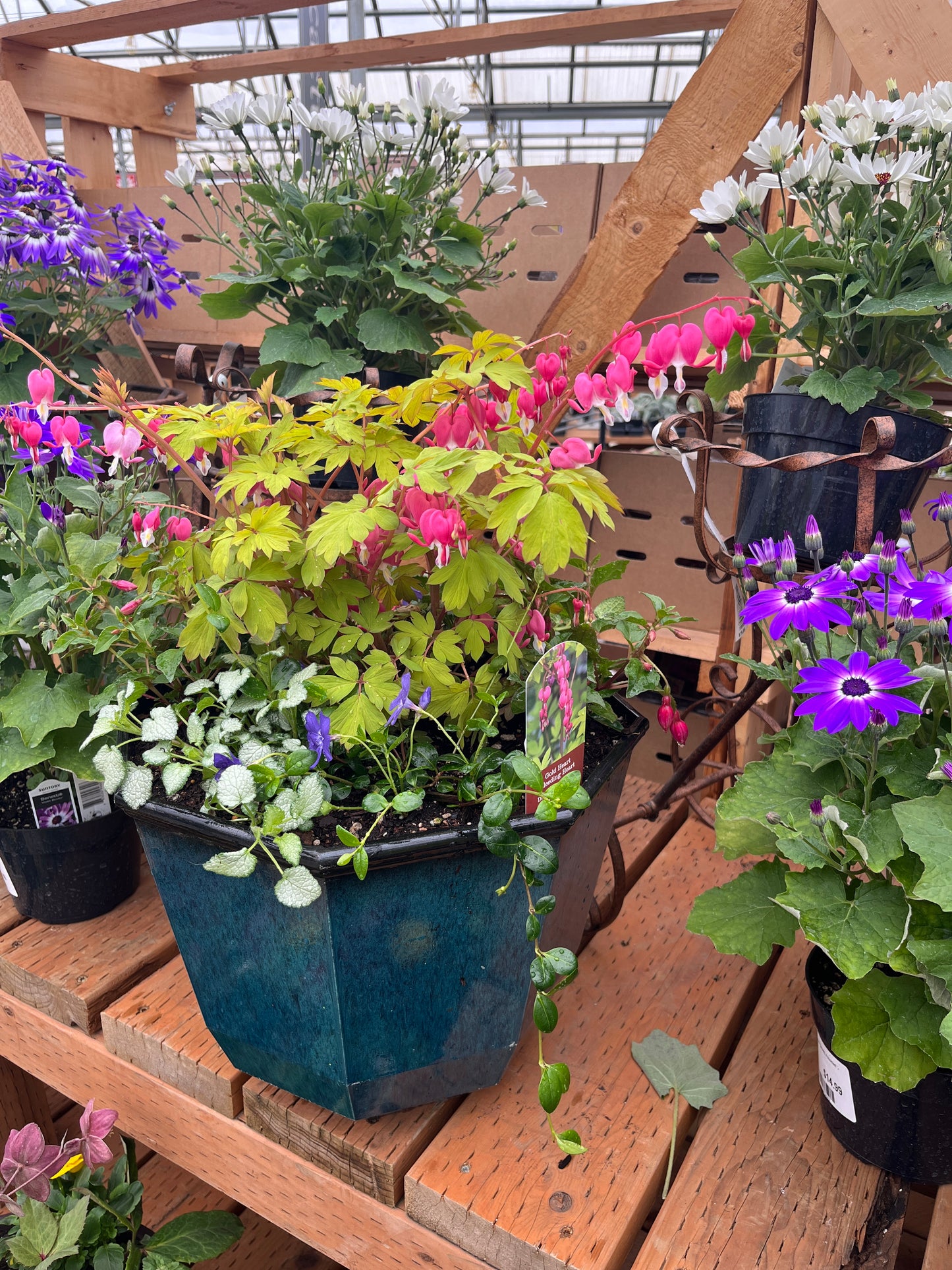 Class Pollinator Planter 6/27 @10:30