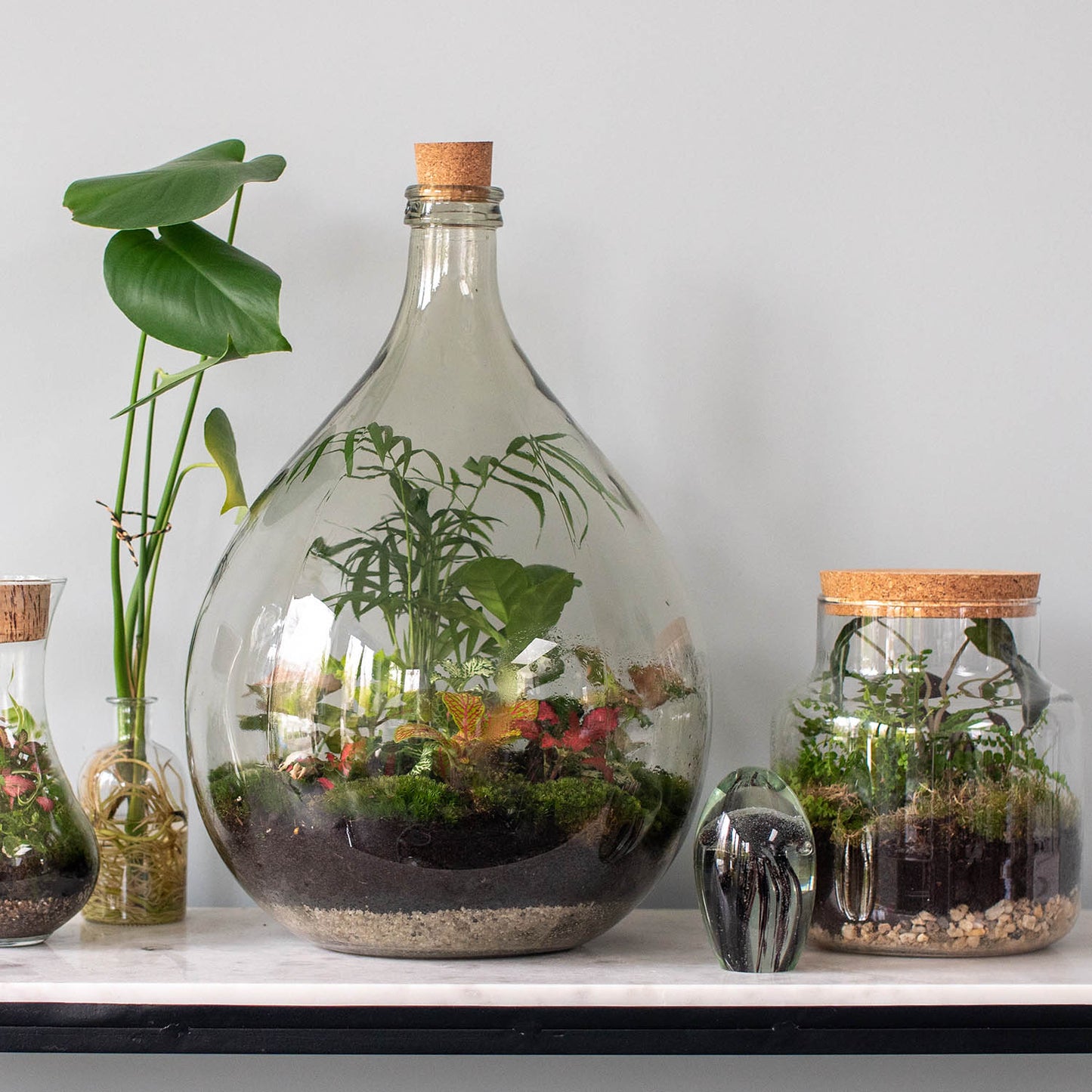 Terrarium Workshop - Dec 15th, 5PM