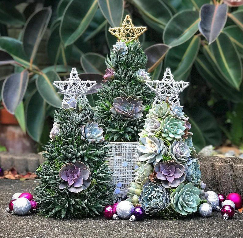 Succulent Holiday Tree Workshop - Dec 7th, 2PM