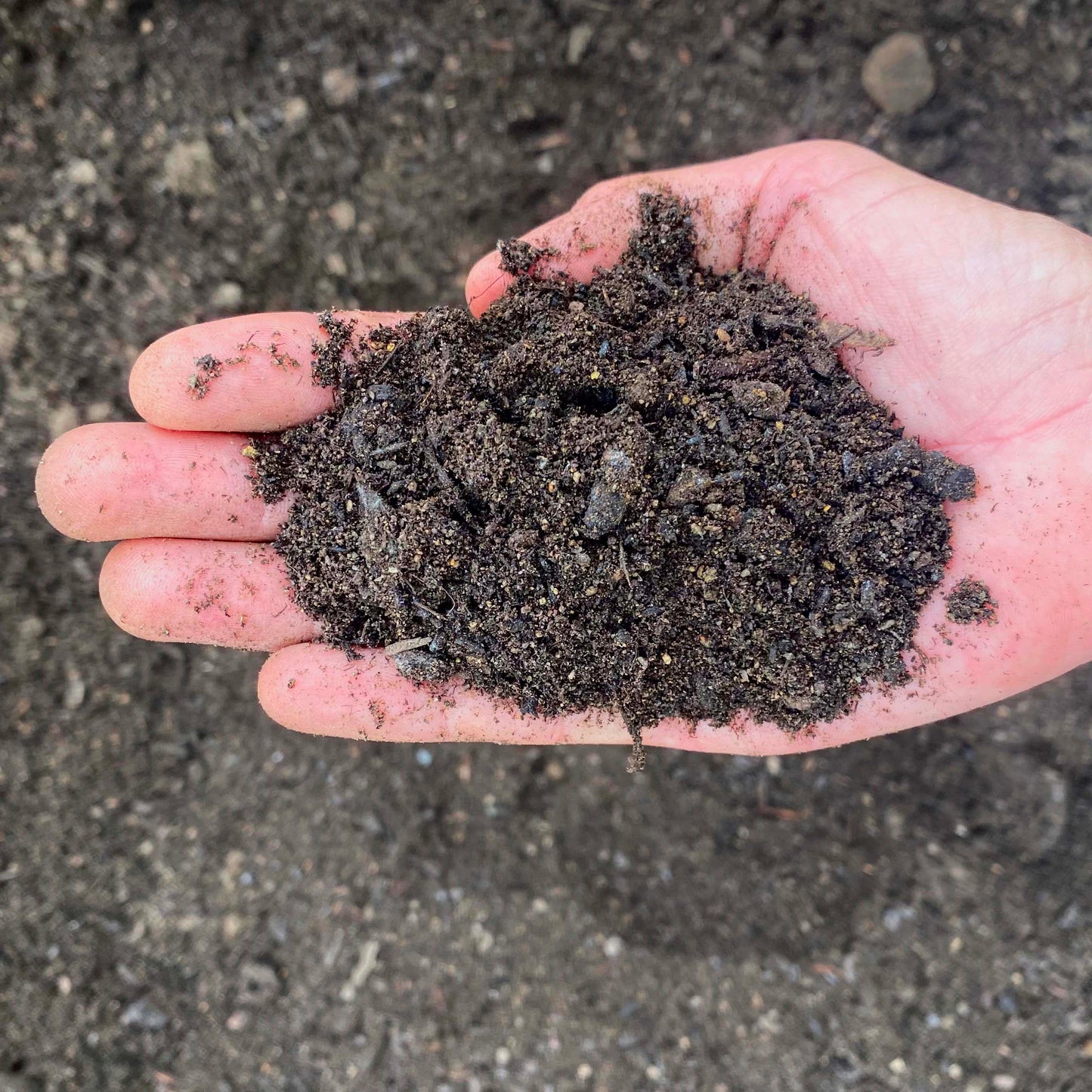 Premium Planting Soil