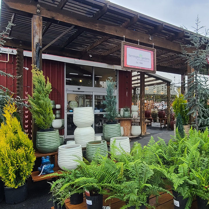 Shop – Farmington Gardens