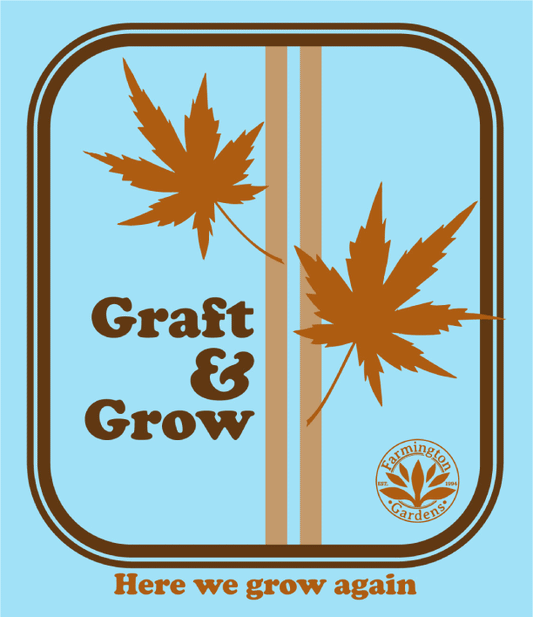 Graft & Grow 2 10/10 @10