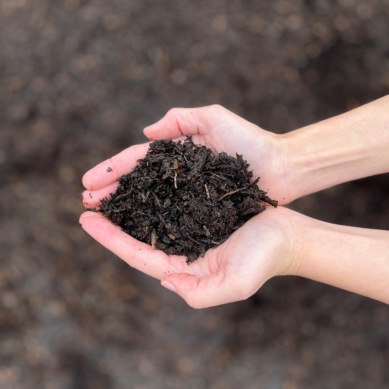 Garden Mulch - per yard