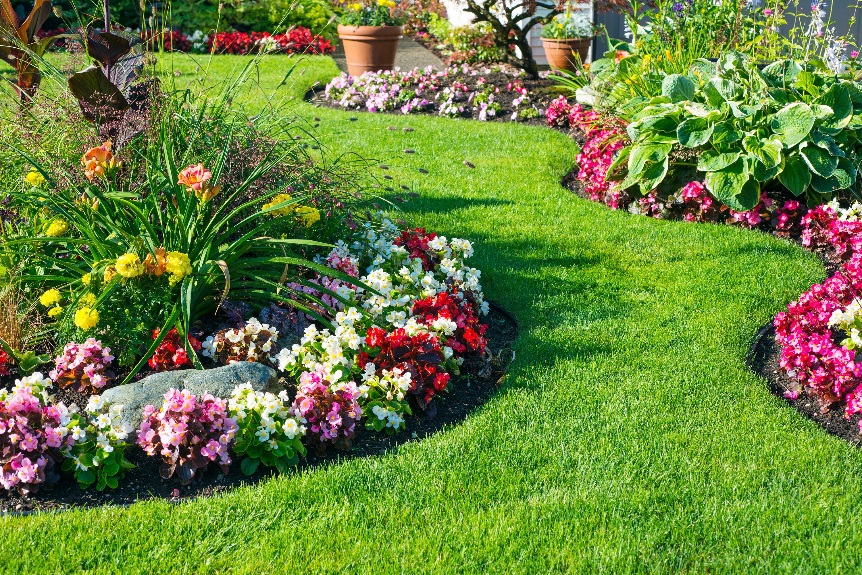 Hydrangeas – Farmington Gardens