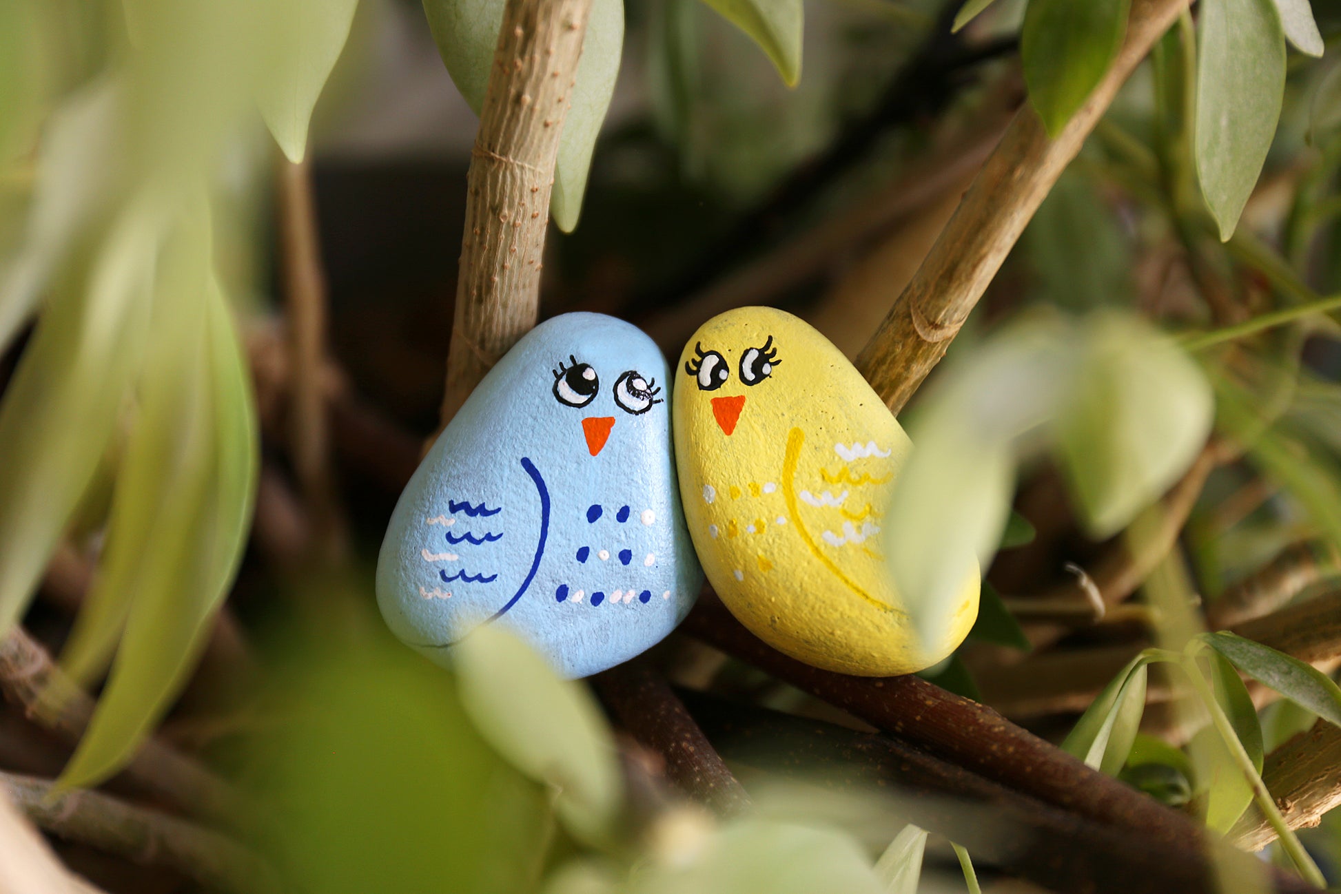 Pet Rock Kid's 8/17 10AM Farmington Gardens