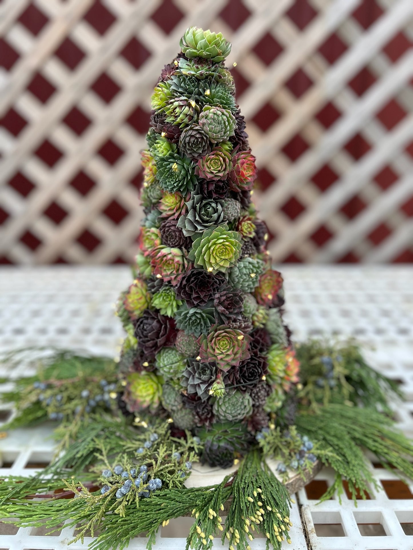 Holiday Succulent Tree Workshop - 11/16 @ 2PM